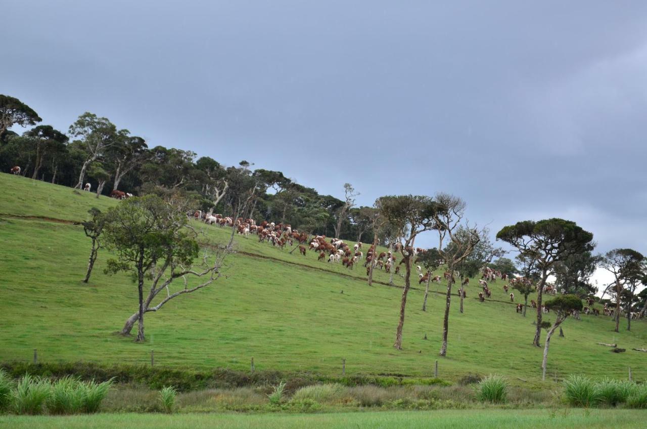 Yensfield Blackpool Nuwara Eliya Zewnętrze zdjęcie