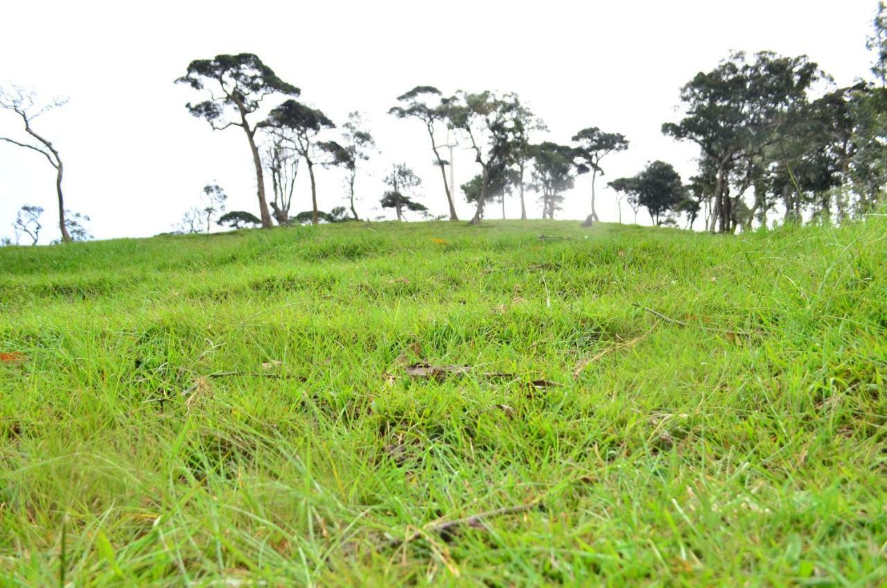 Yensfield Blackpool Nuwara Eliya Zewnętrze zdjęcie