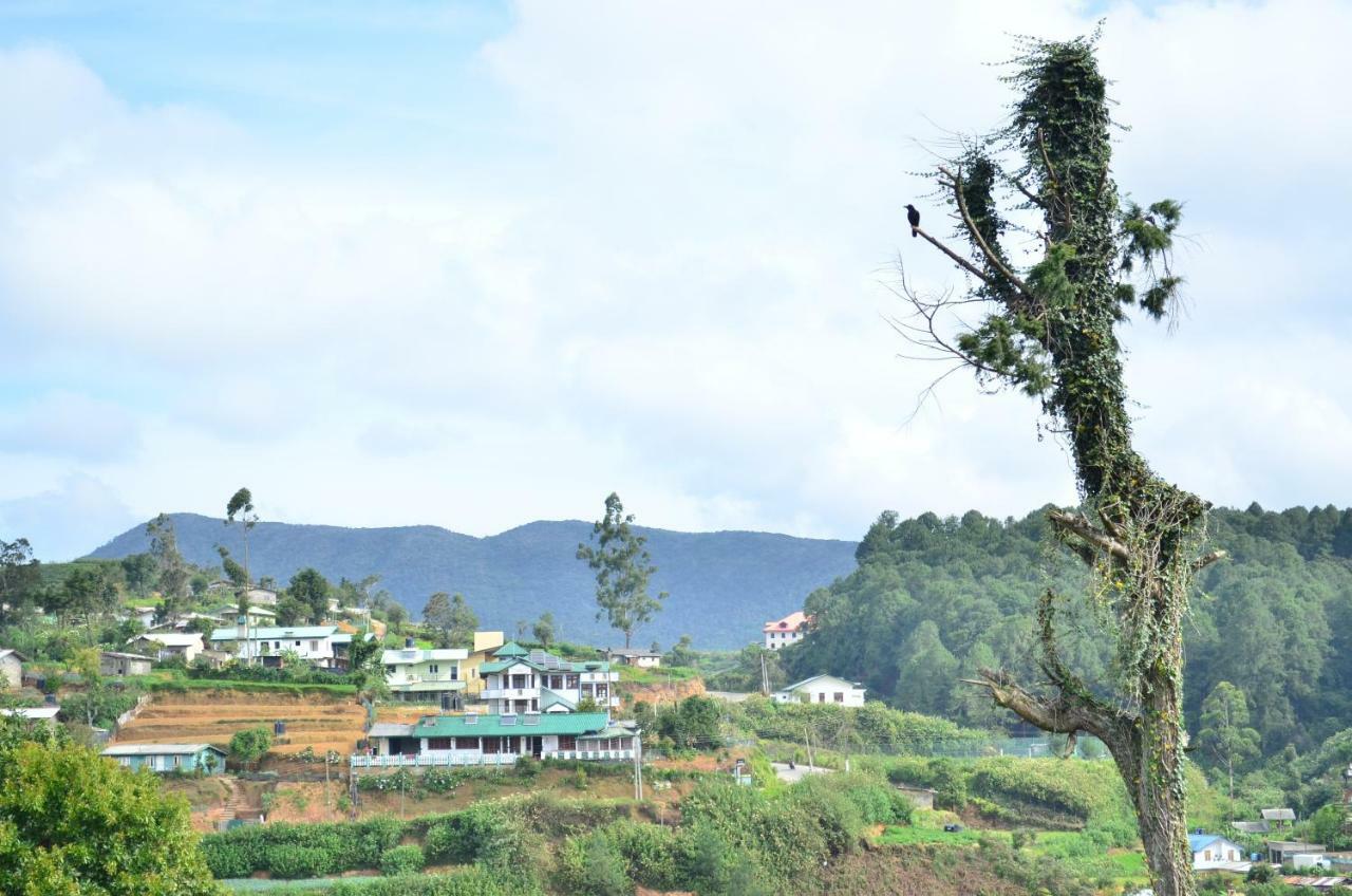 Yensfield Blackpool Nuwara Eliya Zewnętrze zdjęcie