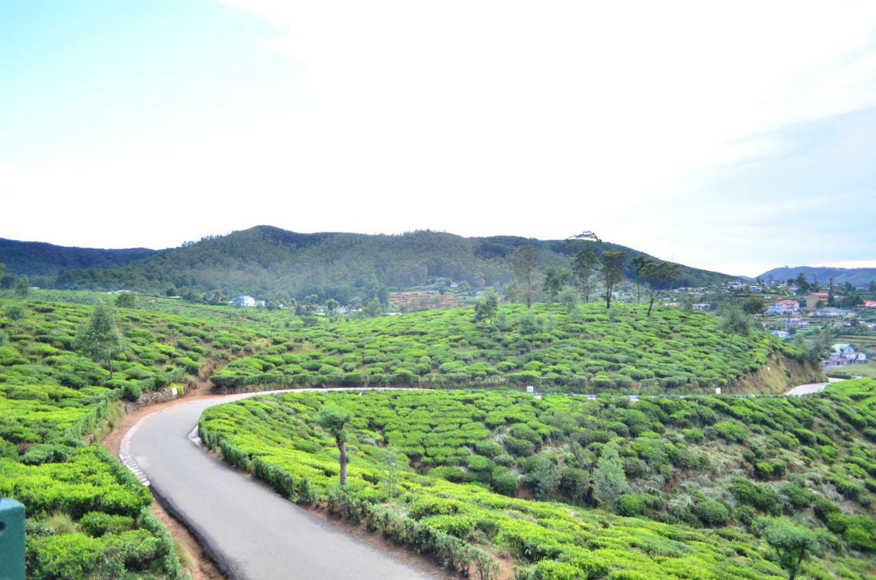 Yensfield Blackpool Nuwara Eliya Zewnętrze zdjęcie