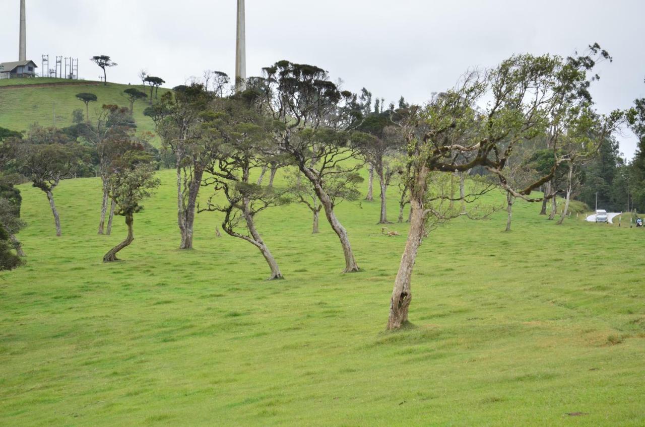 Yensfield Blackpool Nuwara Eliya Zewnętrze zdjęcie