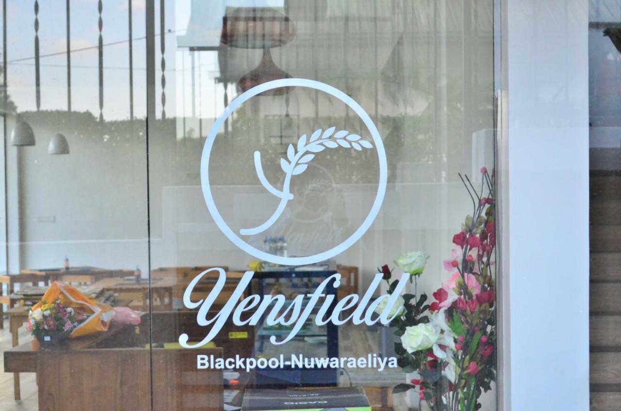 Yensfield Blackpool Nuwara Eliya Zewnętrze zdjęcie