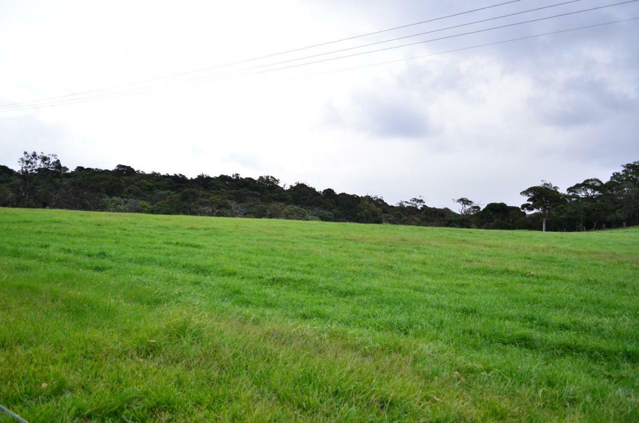 Yensfield Blackpool Nuwara Eliya Zewnętrze zdjęcie